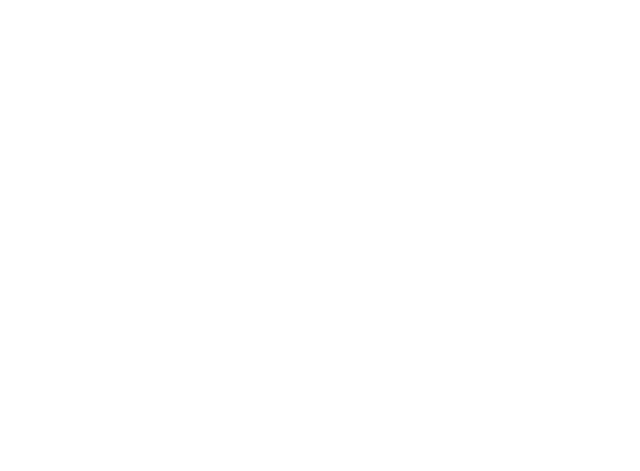 CI_NSwitch_BravelyDefaultII_Logo.png