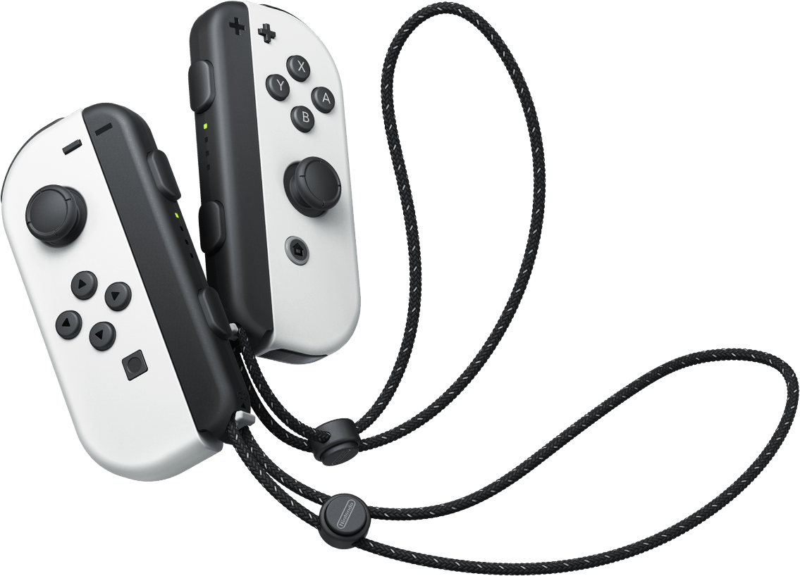 CI_NSwitch_controllers_joy_con.png