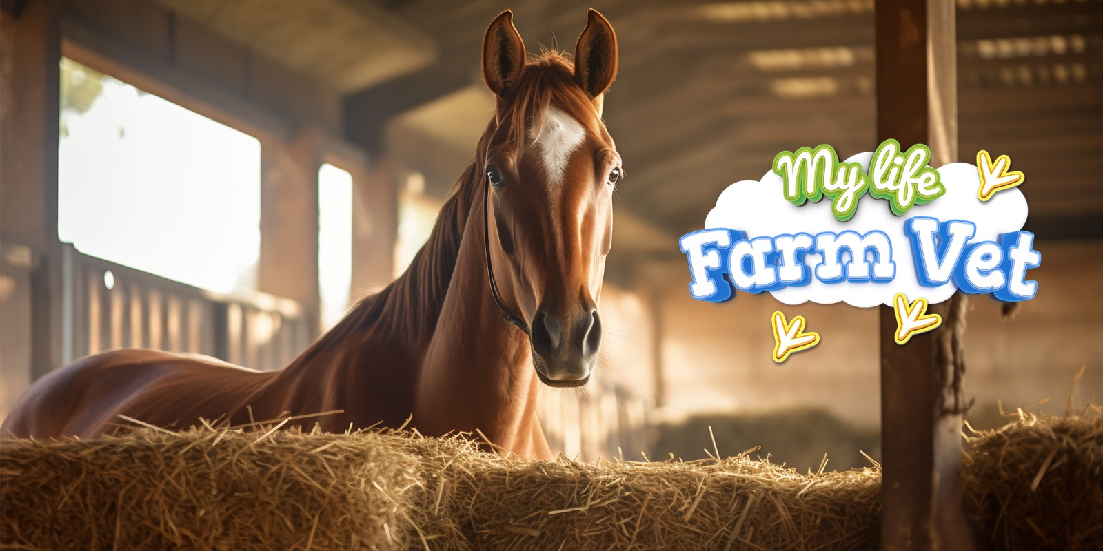 Horse life nintendo wii deals by ubuy italy