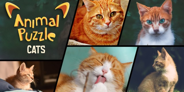 Image de Animal Puzzle Cats