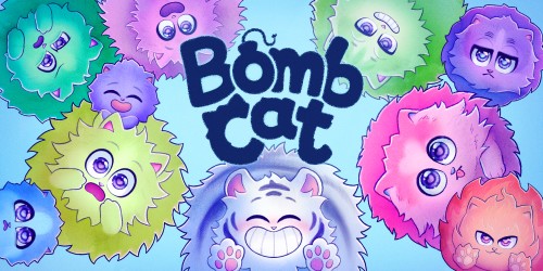 Bomb Cat switch box art