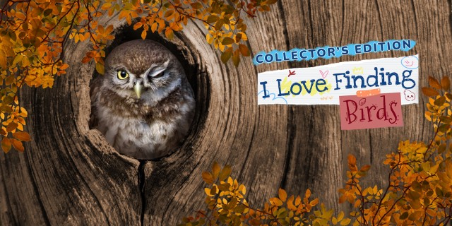 Image de I Love Finding Birds Collector's Edition