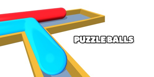 Puzzle Balls