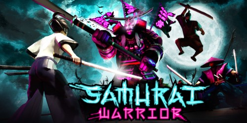 Samurai Warrior switch box art