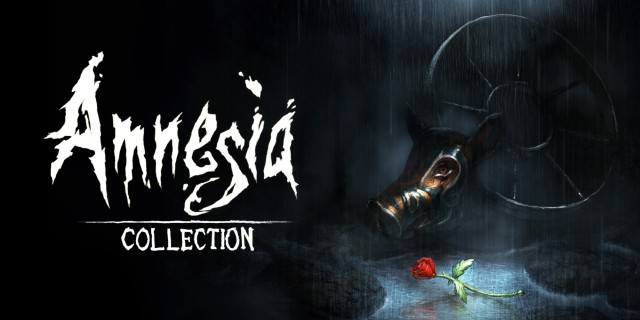Image de Amnesia: Collection