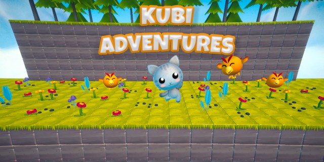 Image de Kubi Adventures