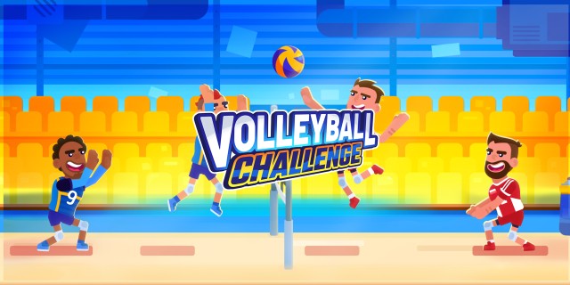 Image de Volleyball Challenge
