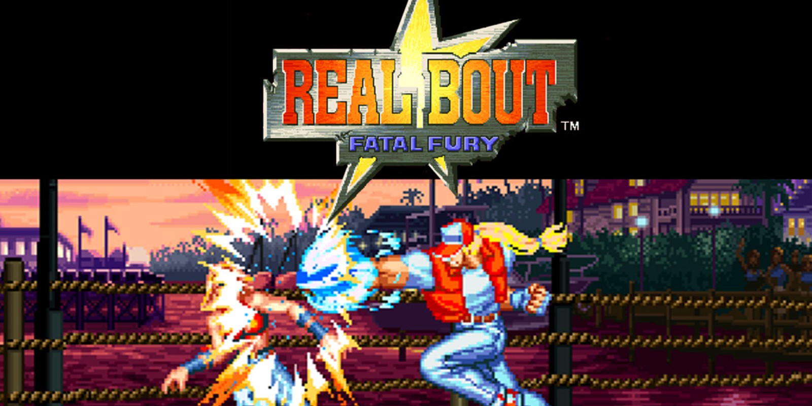 REAL BOUT FATAL FURY