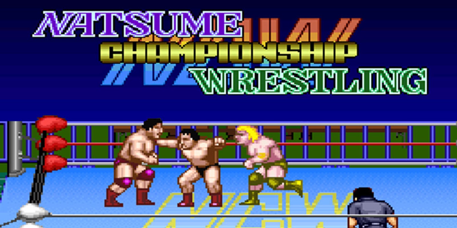 Natsume Championship Wrestling™