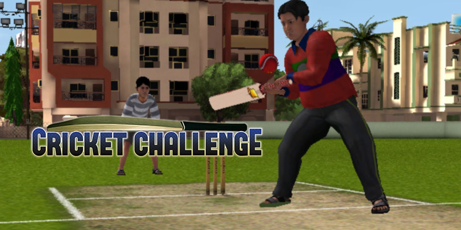Cricket Challenge