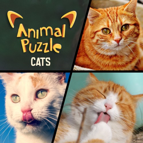 Animal Puzzle Cats switch box art