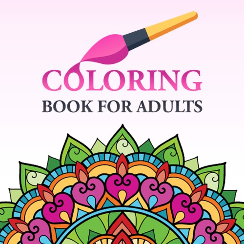 Coloring Book for Adults switch box art