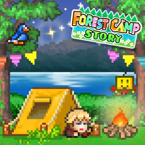 Forest Camp Story switch box art