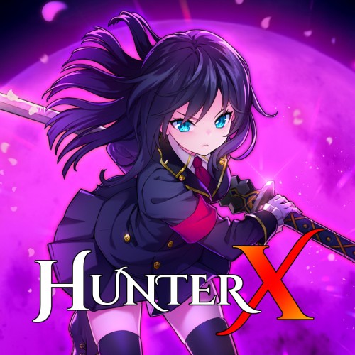 HunterX switch box art