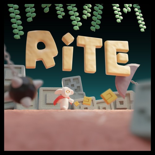 RITE switch box art