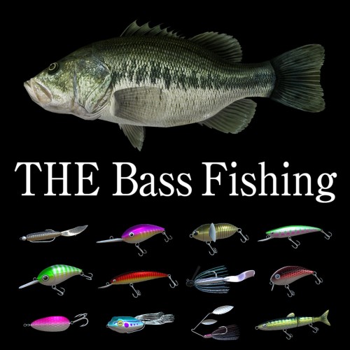 THE Bass Fishing switch box art