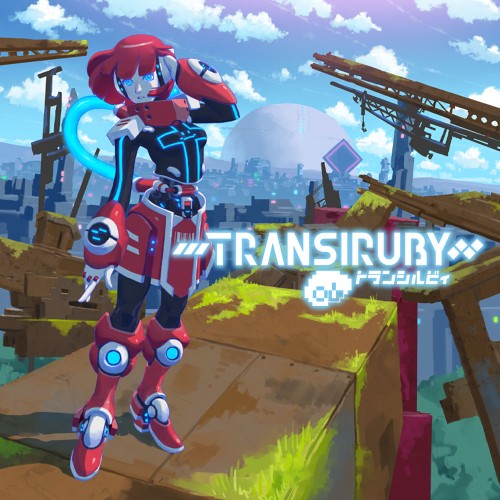 Transiruby switch box art