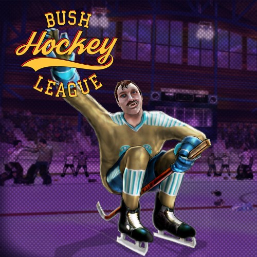 Bush Hockey League switch box art