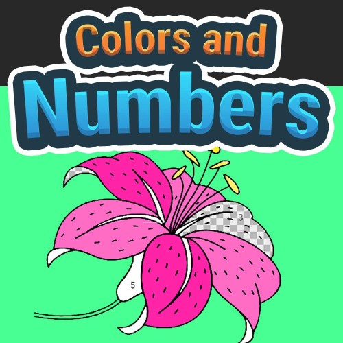 Colors and Numbers switch box art