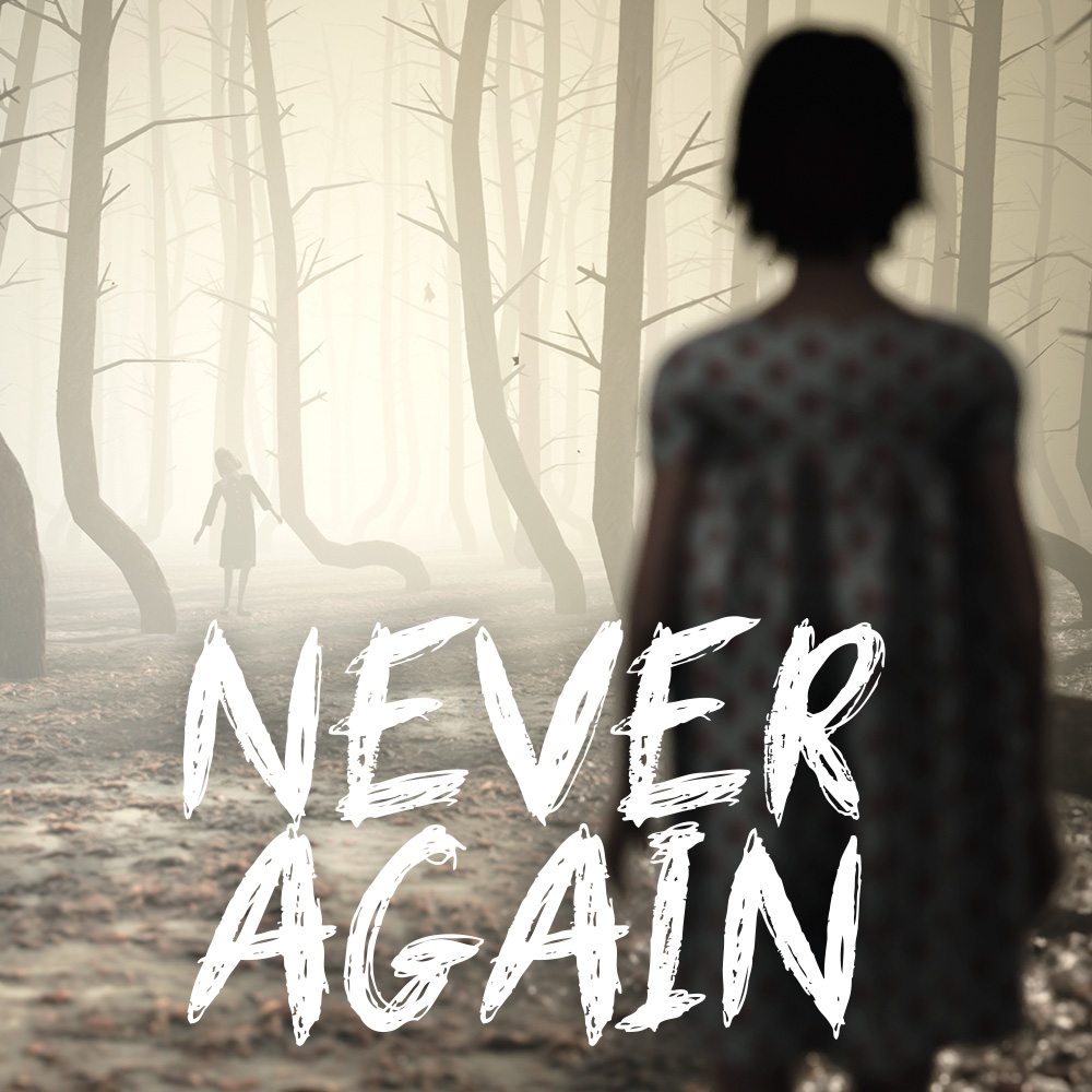 Never again игра. Never again похожая. Never again Вена. Never again картинки.