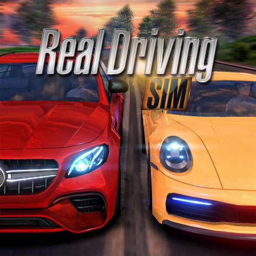 Real Driving Sim